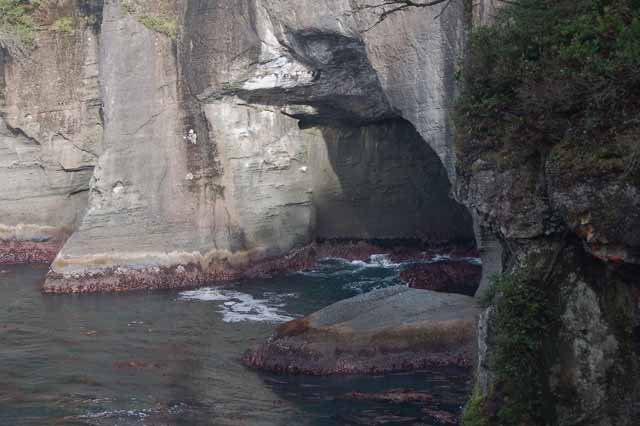 Cape Flattery